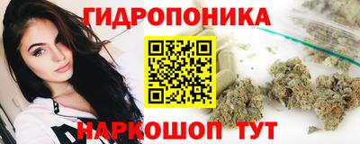 mdpv Лесосибирск