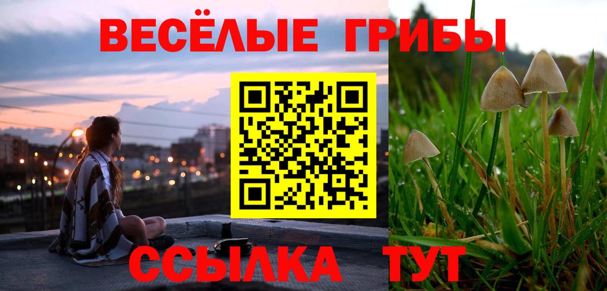 Псилоцибиновые грибы Psilocybine cubensis  Вход с VPN  Иваново  Псилоцибиновые грибы GOLDEN TEACHER 