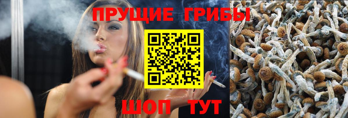 Псилоцибиновые грибы MAGIC MUSHROOMS Иваново